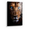 Lions