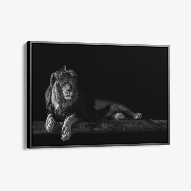 "Horizontal Lion"
