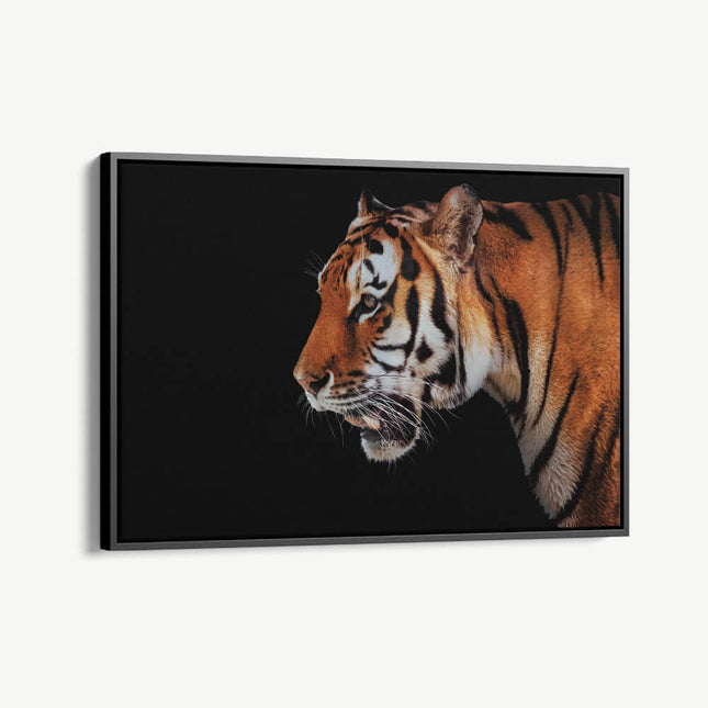 "Horizontal Tiger"
