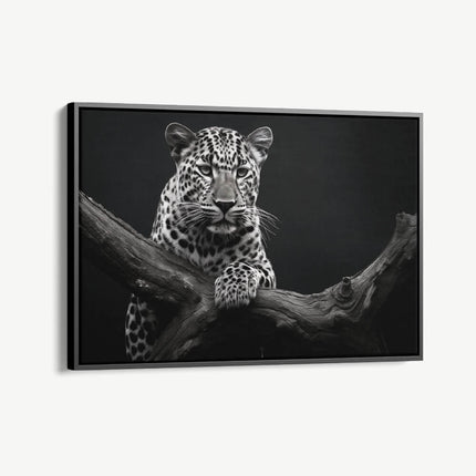 "Jaguar HZ"