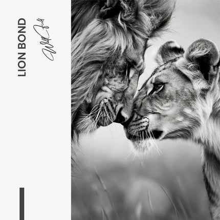 "Lion Bond"