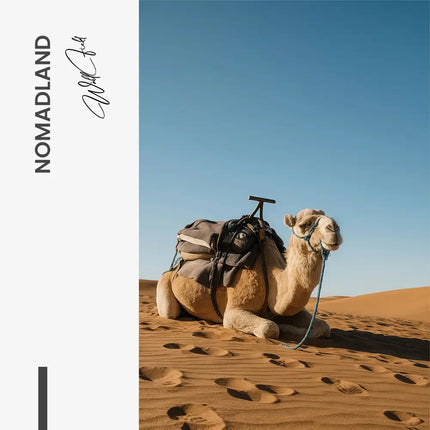 Nomadland – Glass