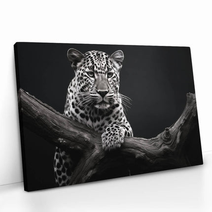 "Jaguar HZ"