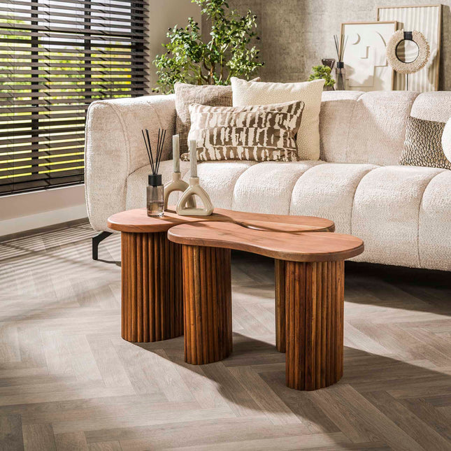 Coffee Table set/2 Fuse