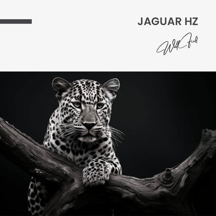 Jaguar HZ – Glass