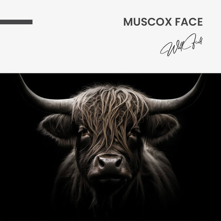 "Muscox Face"