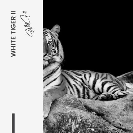 Bundle: "White Tiger" (2x)