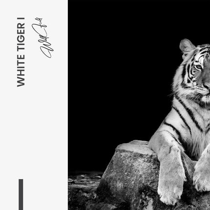 Bundle: "White Tiger" (2x) – Glass