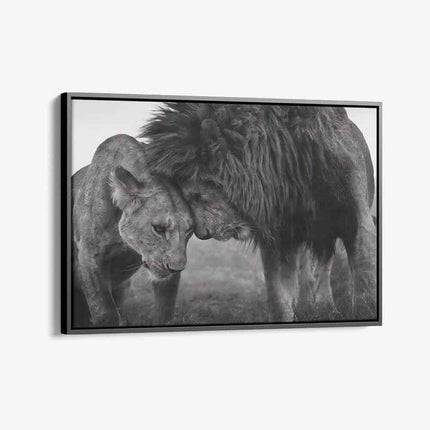 "Loving Lion"