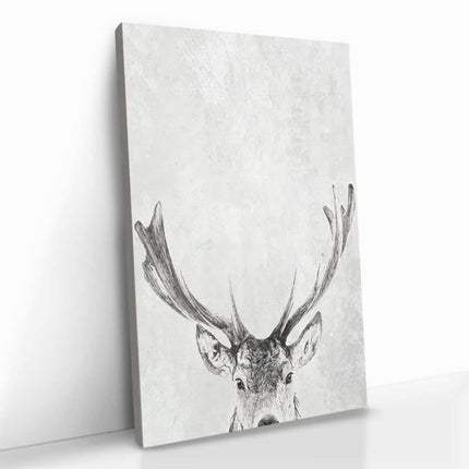 "Reindeer in snow"