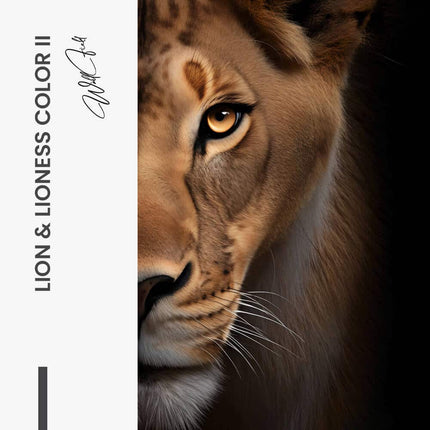 Bundle: "Lion & Lioness Color II" (2x) – Glass