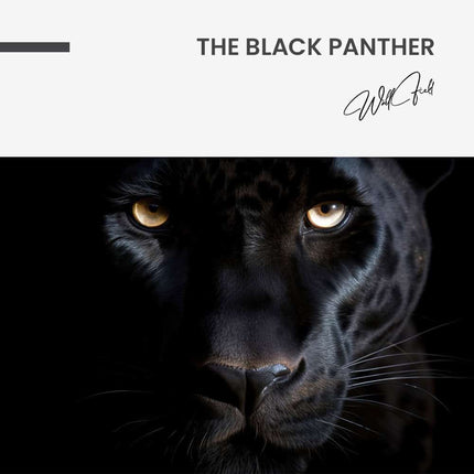 The Black Panther – Glass
