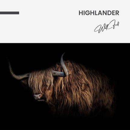 "Highlander"