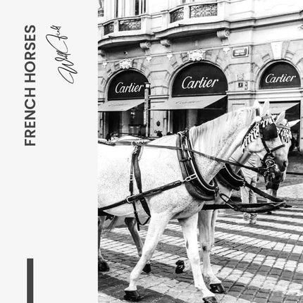 French Horses – Glass