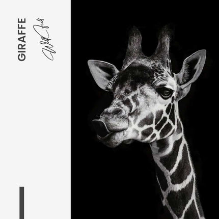 "Giraffe"