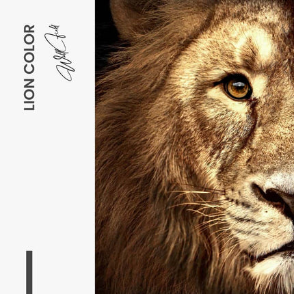 Bundle: "Lion & Lioness Color" (2x) – Glass