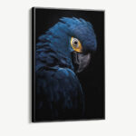 "Blue Macaw"