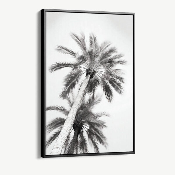 "Under The Palm Trees"