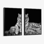 Bundle: "White Tiger" (2x)