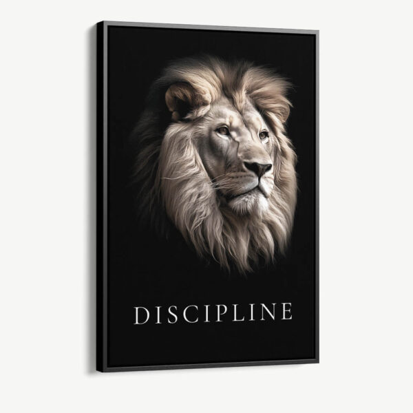 "Discipline"