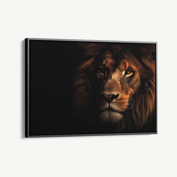 "Loin In The Dark HZ"