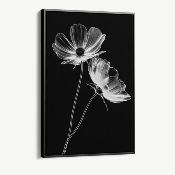 "X-Ray Flowers"