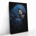 "Blue Macaw" - Image 2