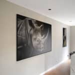 "The Rhino" - Image 3