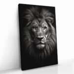 "Lion close-up" - Image 2