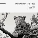 Jaguard In The Tree – Glass - Image 5