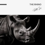 "The Rhino" - Image 7