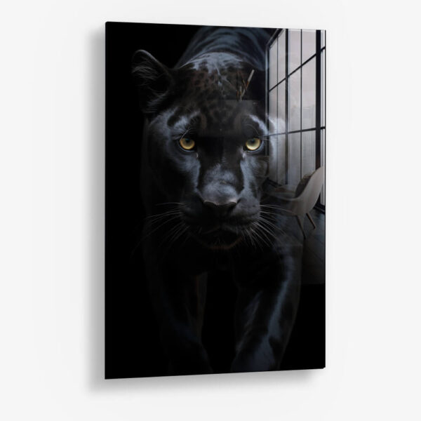 Black Jaguar – Glass