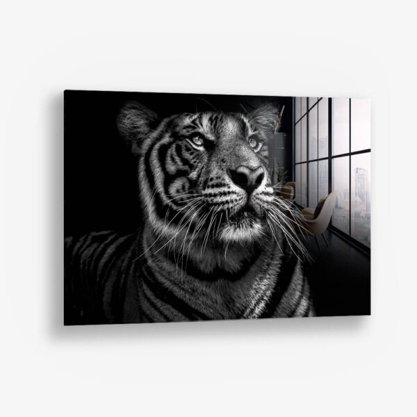B&W Tiger – Glass