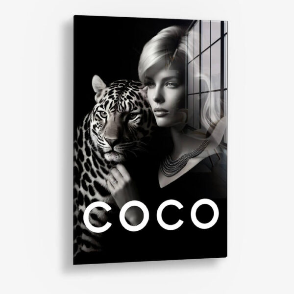 The Catwoman II – Glass