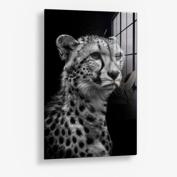 Cheetah's View – Glass