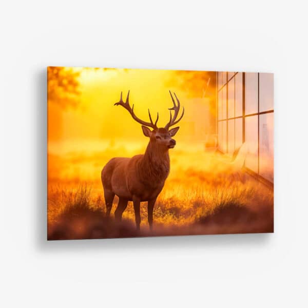 Deer – Glass