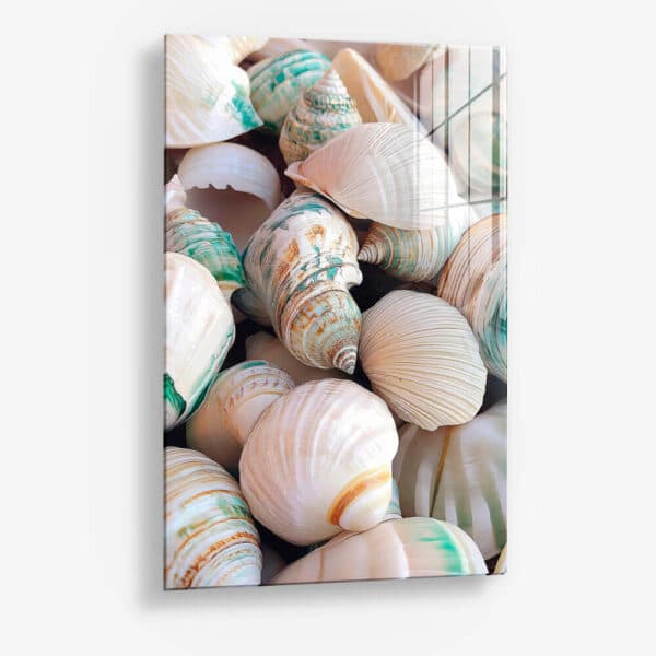 Sea Shell – Glass