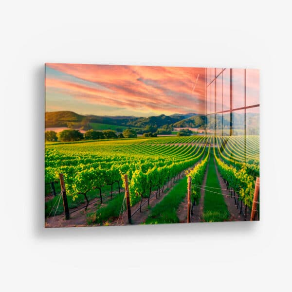 Vineyard – Glass
