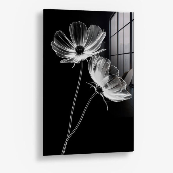 X-Ray Flowers – Glass