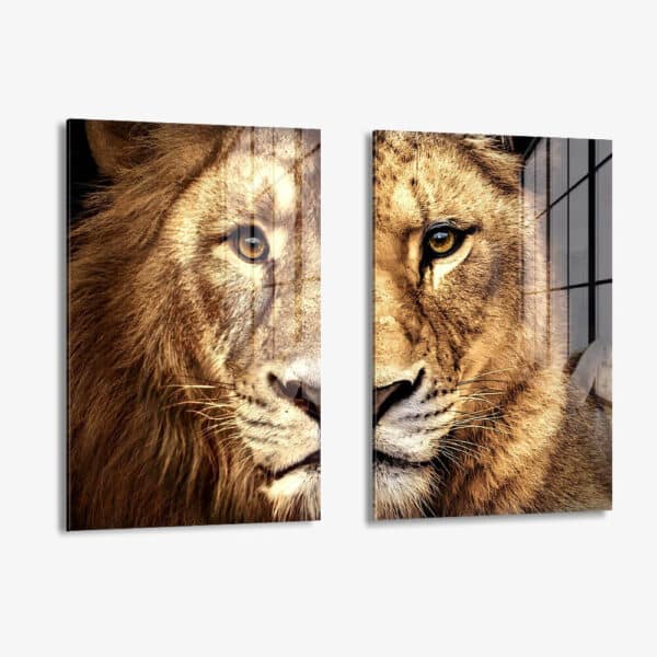 Lot: "Lion & Lioness Color" (2x) – Glass