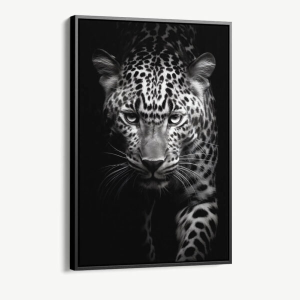 "Leopard Black II"