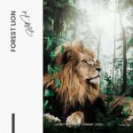 "Forest Lion" - Image 7