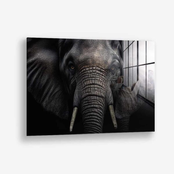 Elephant Close-Up – Glass