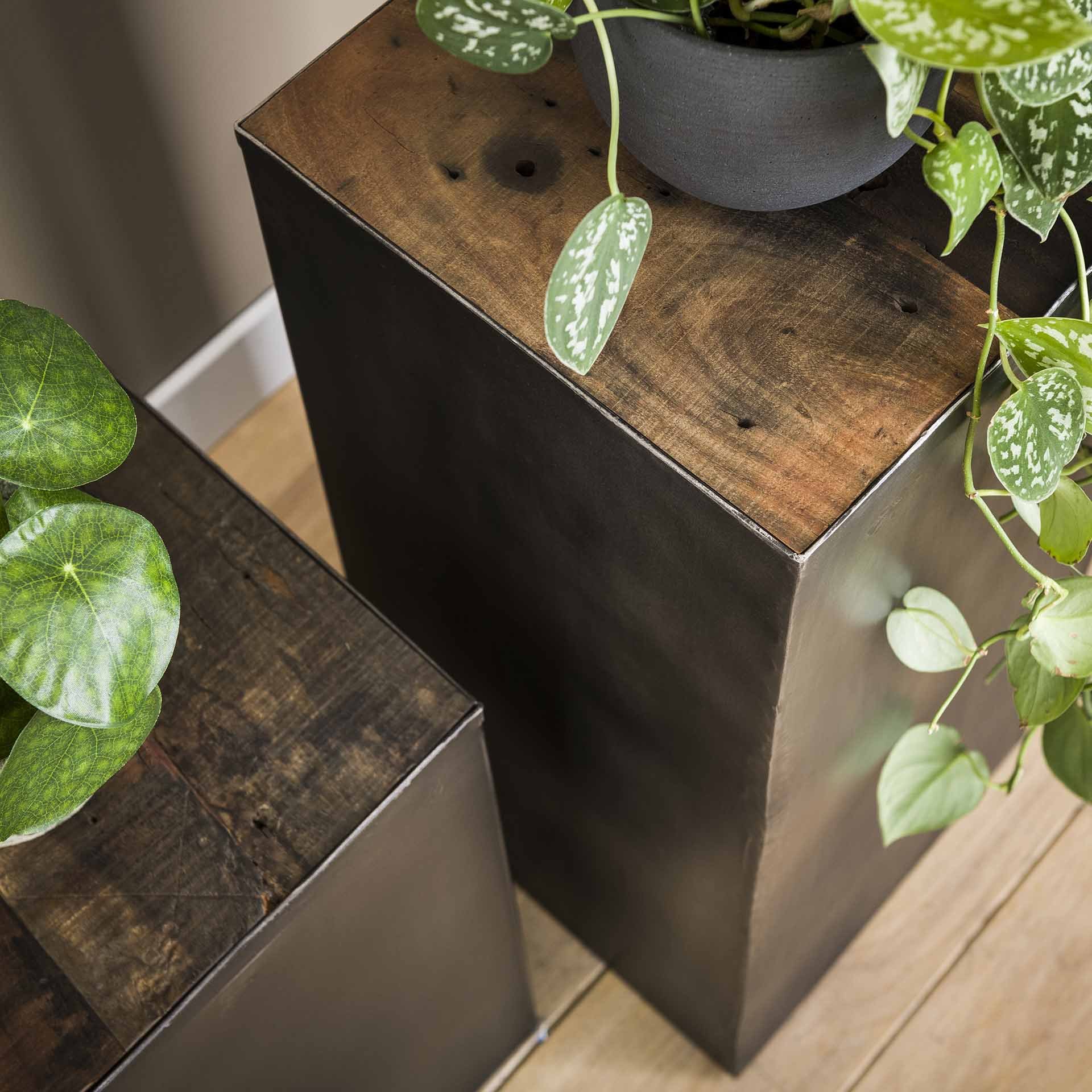 Flower Column 70 natural brush Raft steel / Robust Hardwood - Image 2