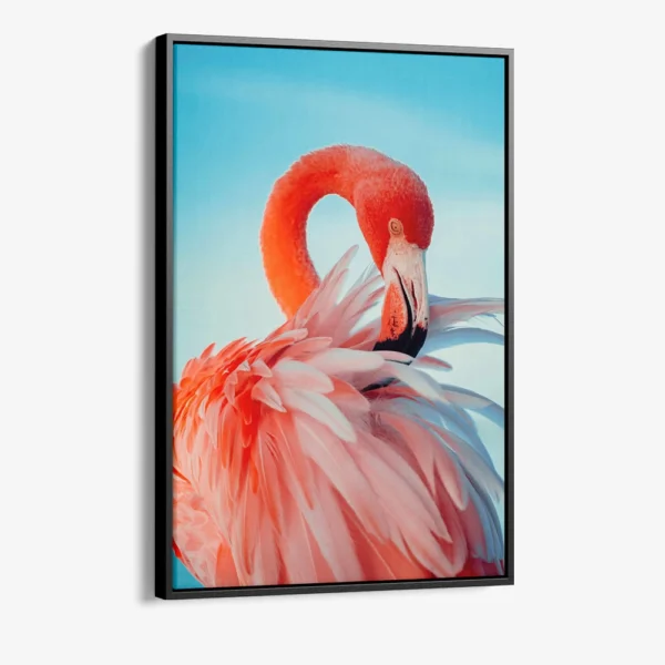 "Featherframe"
