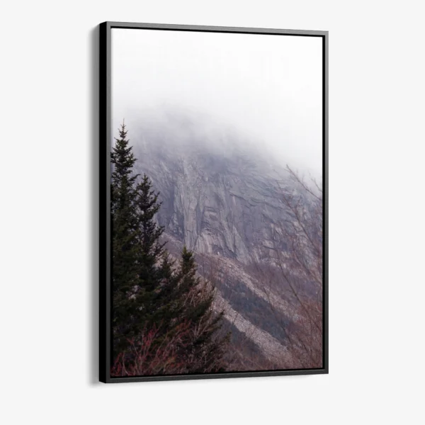 "Stone Fade"