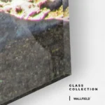 Anchorlight – Glass - Image 4