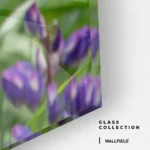 Upright Signal – Glass - Image 4