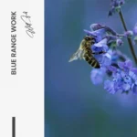 "Blue Range Work" - Image 7
