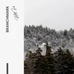 "Branchmark" - Image 7